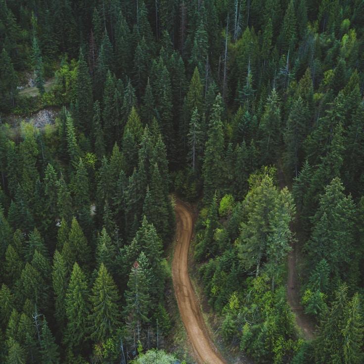 National parks landscape